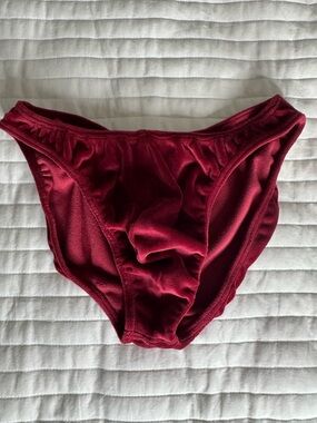 2EXIST Maroon Bikini Briefs - Soft Stretch Swim Bottoms - Velvet